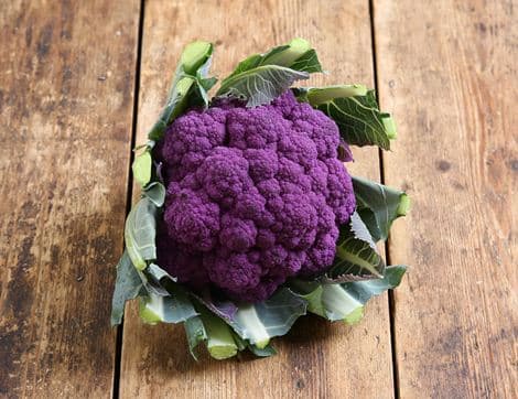 Small English Purple Cauliflower