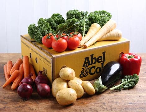 The Organic Veg Box - Small