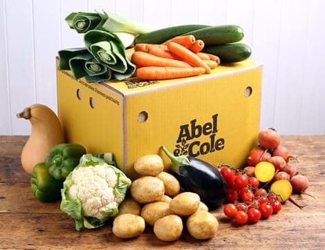 The Organic Veg Box - Large