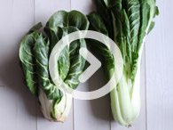 Pak Choi and Chard Tips