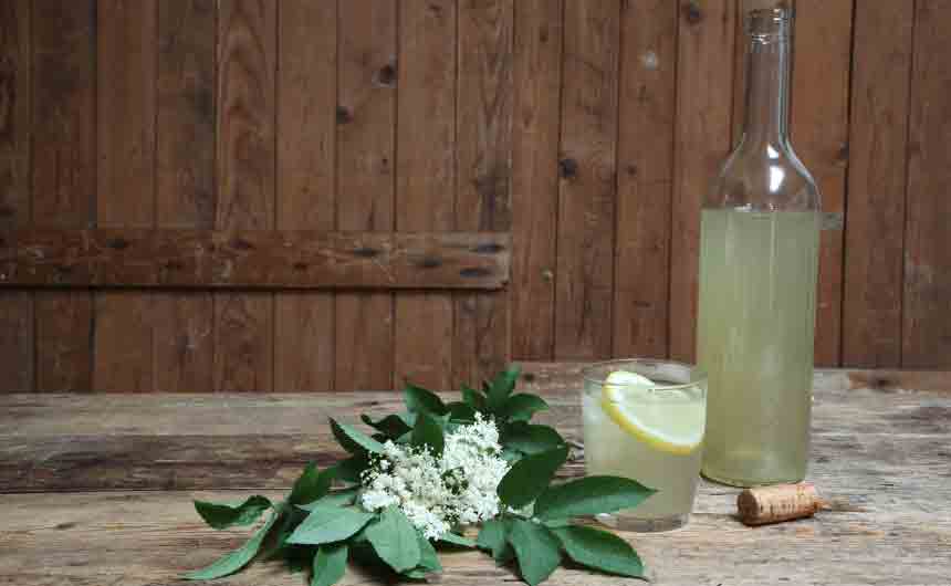 Organic Very Impressive Elderflower Pressé Abel & Cole