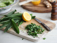 Wild Garlic Pesto