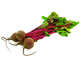 Organic Beetroot, bunched