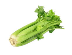 Celery