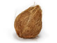Organic Coconut