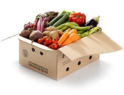 medium mixed box of organic fruit & veg