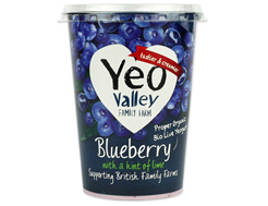 Blueberry Yogurt, Fat Free, Yeo Valley (450g)