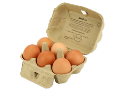  Eggs, Organic Free Range (½ Dozen - Large)