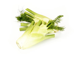 Organic Fennel (1 head)