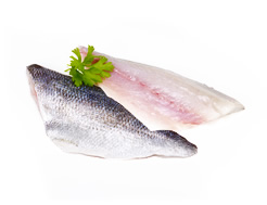 Gilthead Bream Fillets (300g avg)