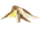 Gurnard Fillets (300g min)