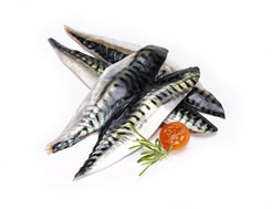 Mackerel, Fillets (350g min)
