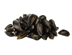 Fresh Mussels (1kg)