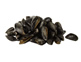 Fresh Mussels (1kg)