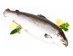 Whole Salmon, Loch Duart (2.5kg avg)