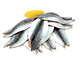 Sardines, Filleted (425g avg)