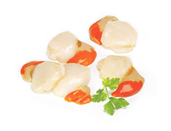 Fresh Scallops (pack of 8)