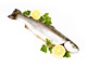 Rainbow Trout, Whole (300g avg)