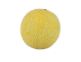 Organic Melon, Galia
