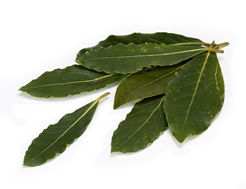 Organic Bay Leaves (10g)