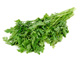Organic Chervil (30g)