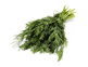 Organic Dill (30g)