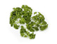 Organic Parsley, Curly Leaf (30g)