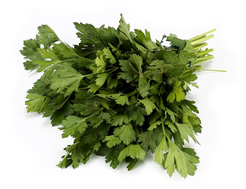 Organic Parsley, Flat Leaf (30g)