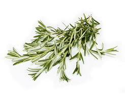 Organic Rosemary (30g)