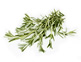 Organic Rosemary (30g)
