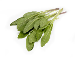 Organic Sage (30g)