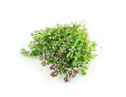 Thyme Recipes