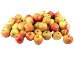 Apples for juicing (5kg)