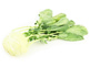 Organic Kohl Rabi