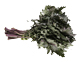 Organic Kale, Red (400g)