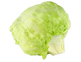 Organic Lettuce, Iceberg