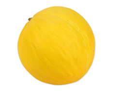 Melon