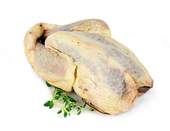 Wild Pheasant, Whole (650g min)
