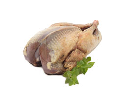 Wild Pigeon, Whole (250g)