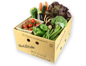 Organic Medium Gourmet Box