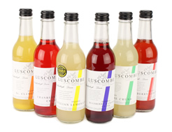Organic Mixed Case, Luscombe (6 x 32cl)
