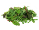 Organic Babyleaf Salad (100g)