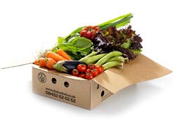 medium mixed box of organic fruit & veg