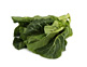 Organic Spring Greens