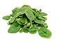 Organic Baby Leaf Salad Spinach (100g)