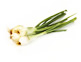 Organic Spring onions (bunch)
