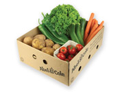 Organic Small Veg Box