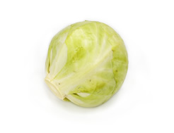 Organic Cabbage, White