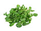 Organic Watercress (bunch)