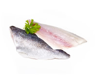 speciality-fish